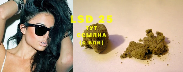 шишки Кукмор