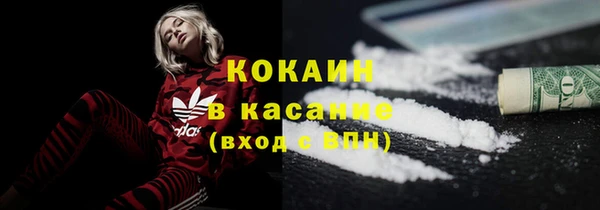 гашик Краснослободск