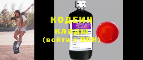 гашик Краснослободск