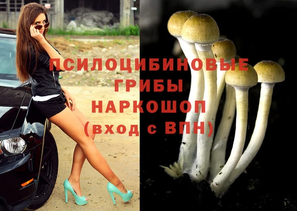 спиды Магадан