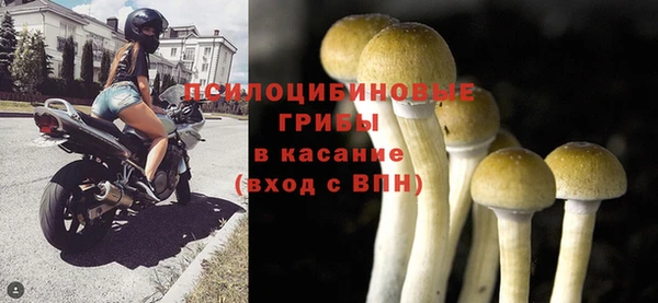 спиды Магадан