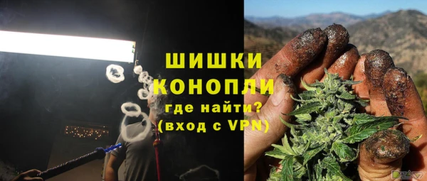 гашик Краснослободск